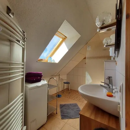 Am Pochwerk-badeteich Апартаменты Бранд-Эрбисдорф