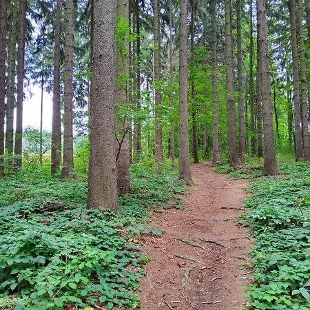 Апартаменты Am Pochwerk-badeteich Бранд-Эрбисдорф