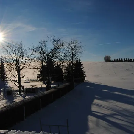 Апартаменты Am Pochwerk-badeteich Бранд-Эрбисдорф